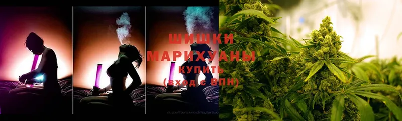 Бошки Шишки THC 21%  цены   Энем 